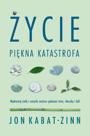 Życie, piękna katastrofa – ebook