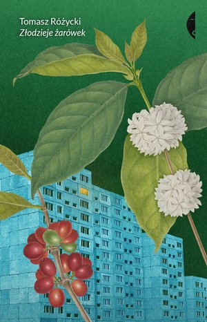 Złodzieje żarówek – ebook