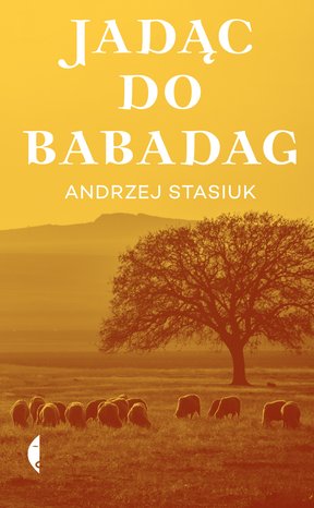 Jadąc do Babadag – ebook