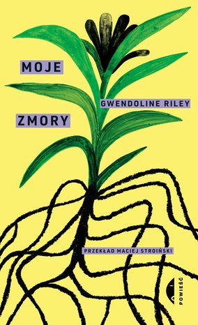 Moje zmory – ebook