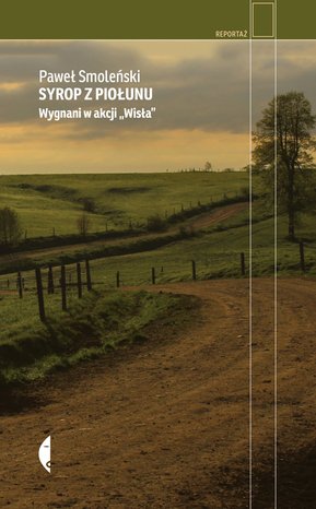 Syrop z piołunu – ebook