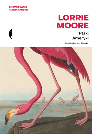 Ptaki Ameryki – ebook