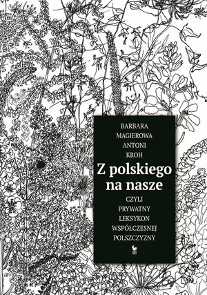 Z polskiego na nasze, czyli prywatny leksykon współczesnej polszczyzny – ebook
