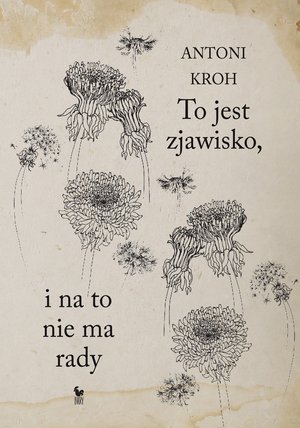 To jest zjawisko, i na to nie ma rady – ebook