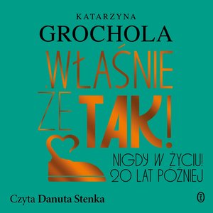Właśnie że tak! Nigdy w życiu! 20 lat p&oacute;źniej &ndash; audiobook