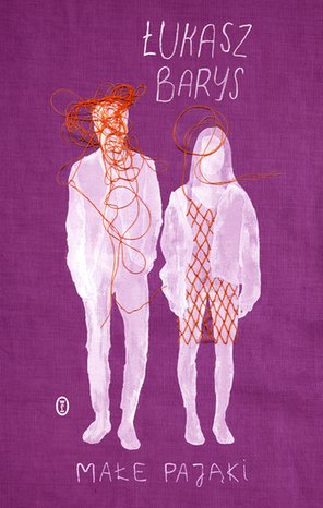 Małe pająki – ebook