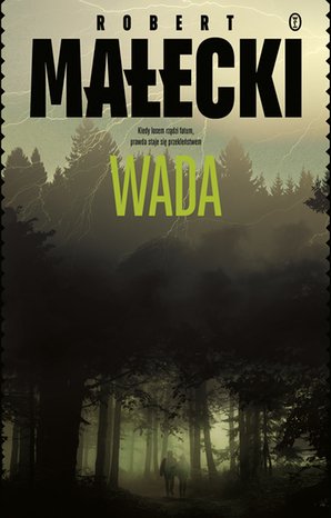 Wada – ebook