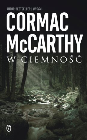 W ciemność – ebook