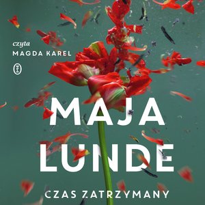 Czas zatrzymany – audiobook