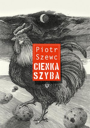 Cienka szyba – ebook