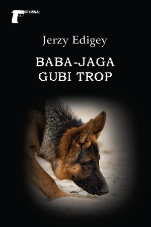 Kryminał Baba-Jaga gubi trop – ebook