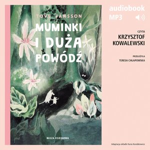 Muminki i duża powódź – audiobook