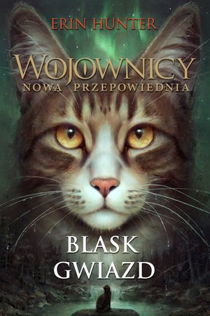 Wojownicy 10: Blask gwiazd – audiobook