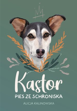 Kastor – ebook