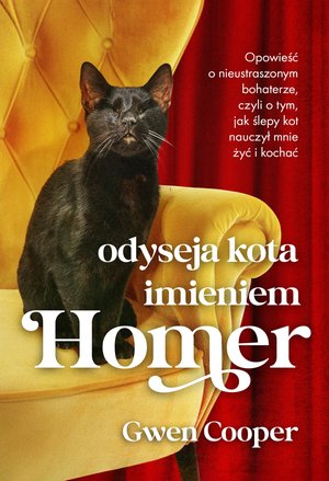 Odyseja kota imieniem Homer – ebook