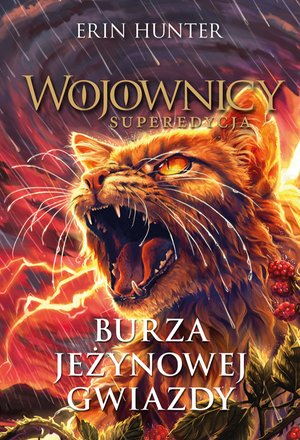 Burza Jeżynowej Gwiazdy. Wojownicy – ebook