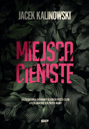 Miejsca cieniste – ebook