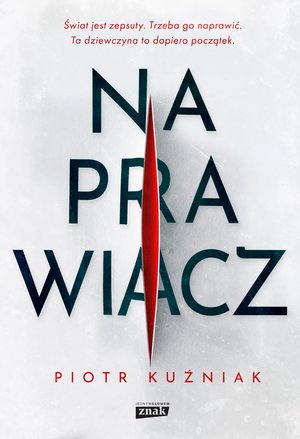 Naprawiacz – ebook