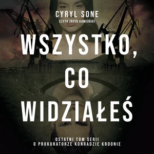 Wszystko, co widziałeś – audiobook