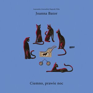Ciemno, prawie noc – audiobook