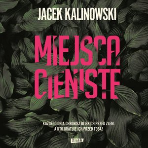 Miejsca cieniste – audiobook