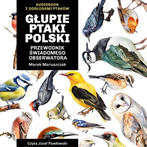 Głupie ptaki Polski. Przewodnik świadomego obserwatora – audiobook
