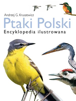 Ptaki Polski. Encyklopedia ilustrowana – ebooki
