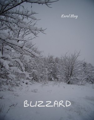 Blizzard – ebooki