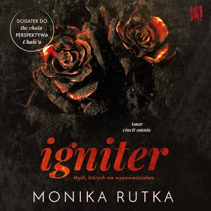 Igniter. Myśli, których nie wypowiedziałem – audiobook