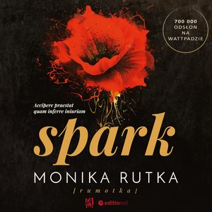 Spark – audiobook