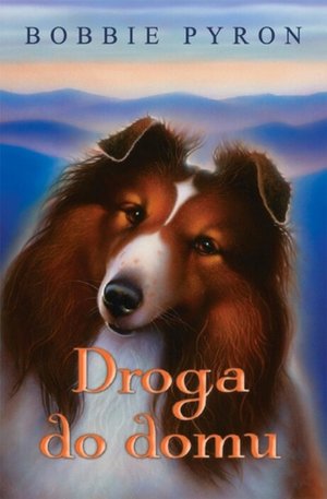 Droga do Domu – ebooki