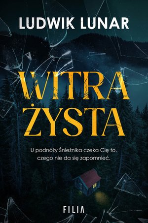 Witrażysta – ebook