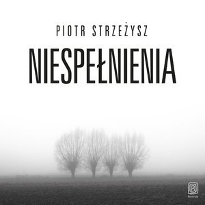 Niespełnienia – audiobook