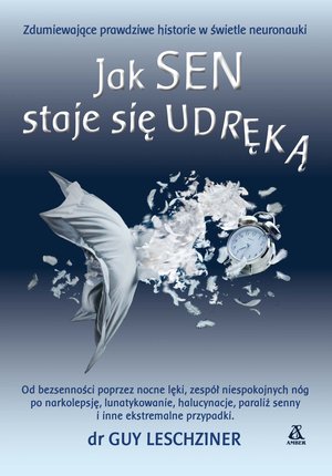 Jak sen staje się udręką – ebook
