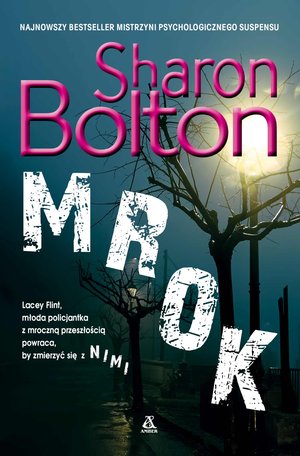 Mrok – ebook