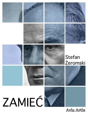 Zamieć – ebook