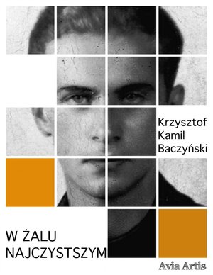 W żalu najczystszym – ebook