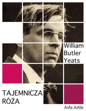Tajemnicza róża – ebook