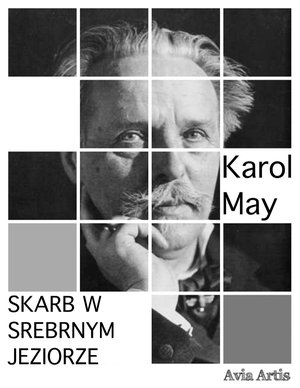 Skarb w Srebrnym Jeziorze – ebook