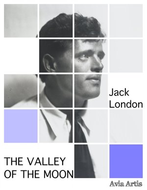 The Valley of the Moon – ebook