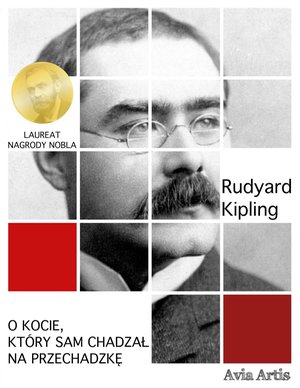 O kocie, który sam chadzał na przechadzkę – ebook