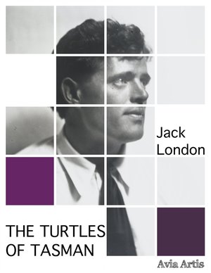 The Turtles of Tasman – ebook