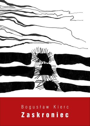 Zaskroniec – ebook
