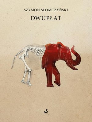 Dwupłat – ebook