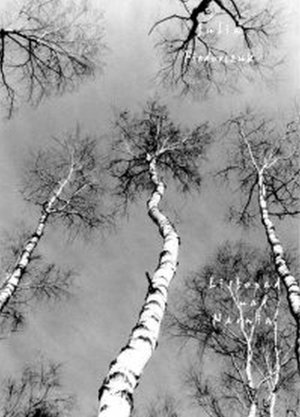 Listopad nad Narwią – ebook