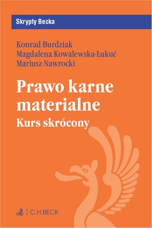 Prawo karne materialne. Kurs skrócony – ebook