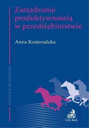 Zarządzanie produktywnością w przedsiębiorstwie – ebook