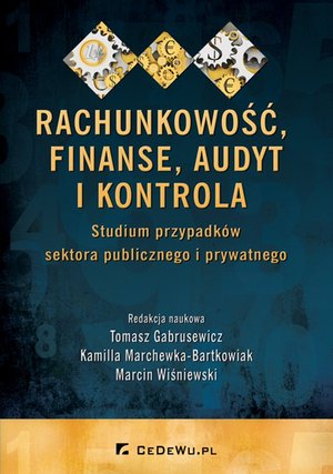Raporty i Analizy: Rachunkowość, finanse, audyt i kontrola. Studium przypadków sektora publicznego i prywatnego – ebook