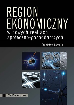 Region ekonomiczny w nowych realiach społeczno-gospodarczych – ebook