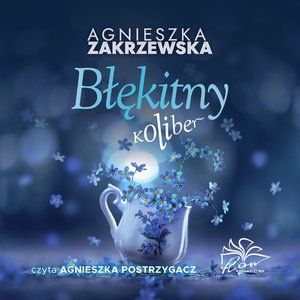 Błękitny koliber – audiobook